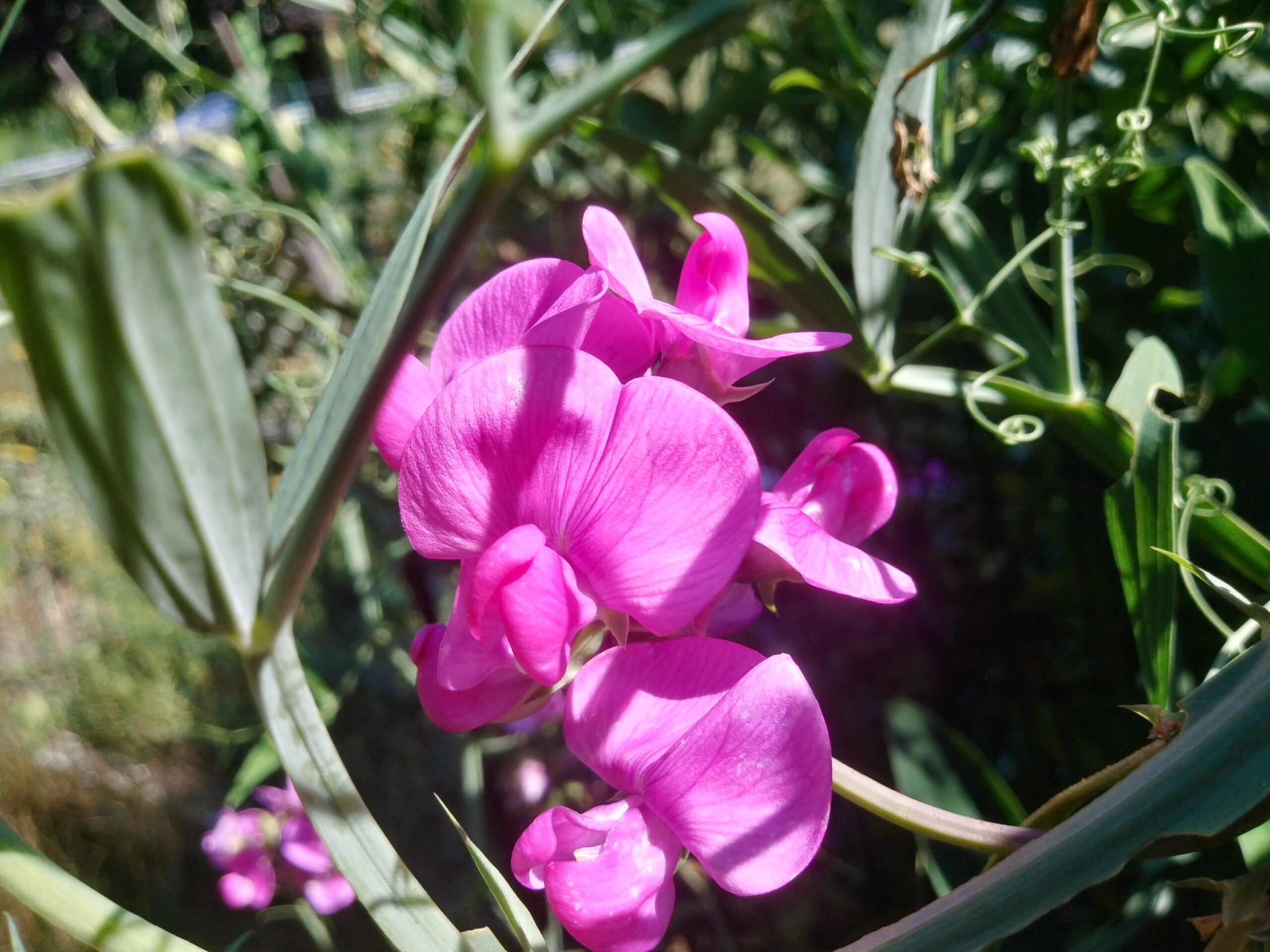 Changing Your Outlook