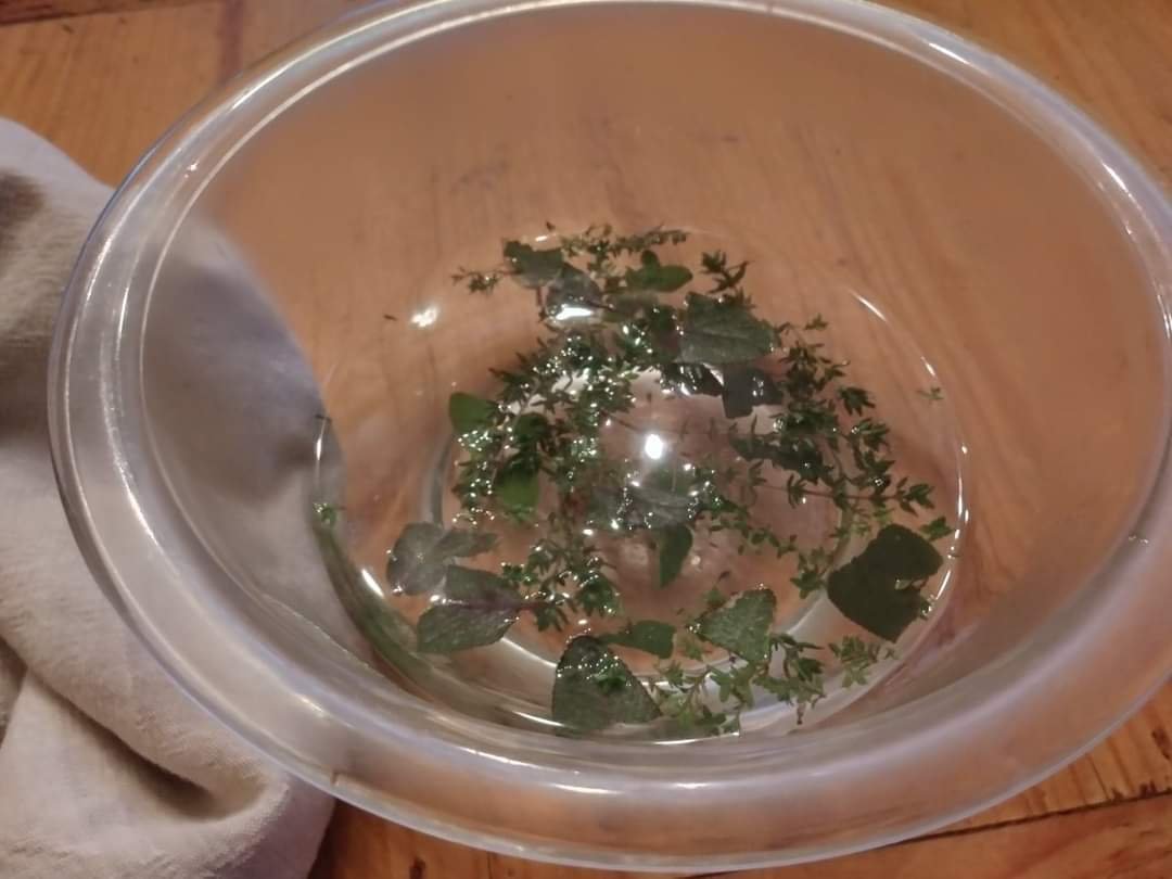 Steamin’ and Dreamin’