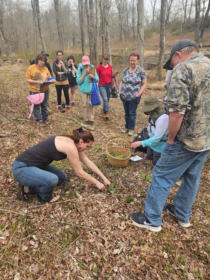 Foraging in Connecticut: Learn the Land Through Your Senses