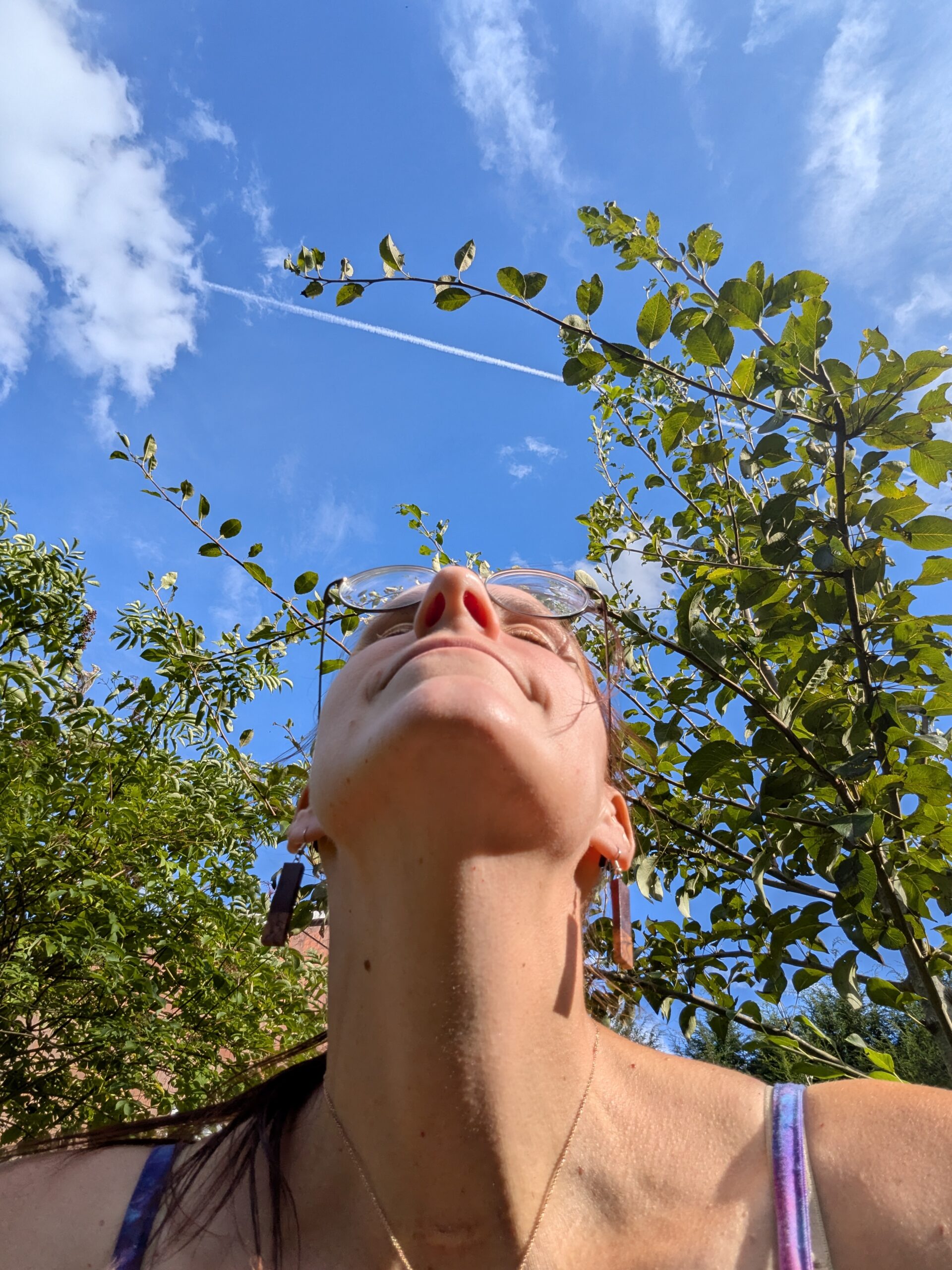 You Can’t Heal a Fragmented Mind in a Disconnected Body