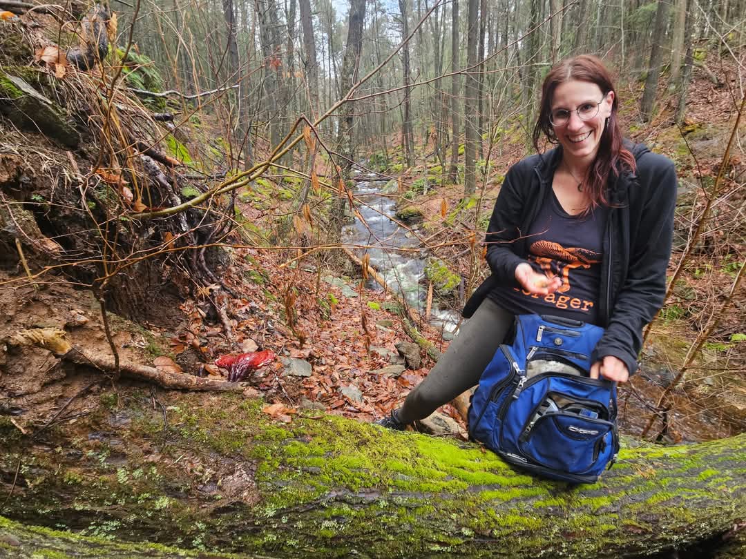 My Most-Used Foraging Gear as a Professional Forager